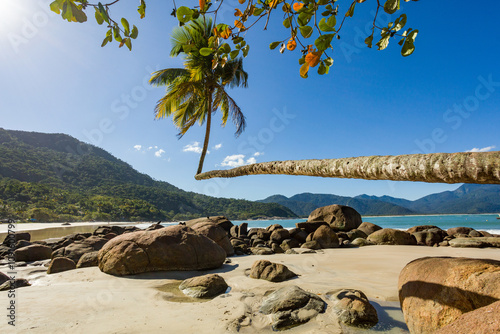 View of Adventurer's Beach with majestic palm tree adorned with turquoise waters, vibrant sunlight at sunset, feeling of relaxation, natural beauty on the coast of Brazil, Angra do Reis in Ilha Grande photo