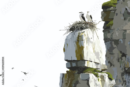 Birds Nesting on Coastal Cliffs isolated illustration