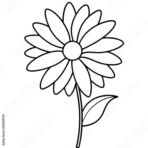 daisy flower line art vector, flower outline vector