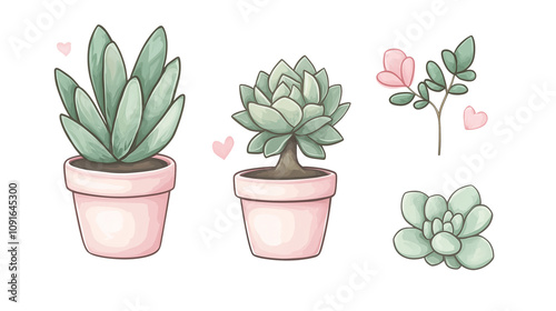 Potted houseplants in pastel-colored pots with varying green and pink leaves, isolated