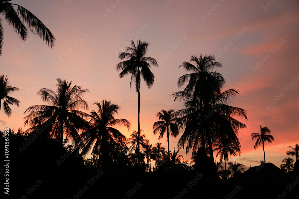 Obraz premium palm trees at sunset