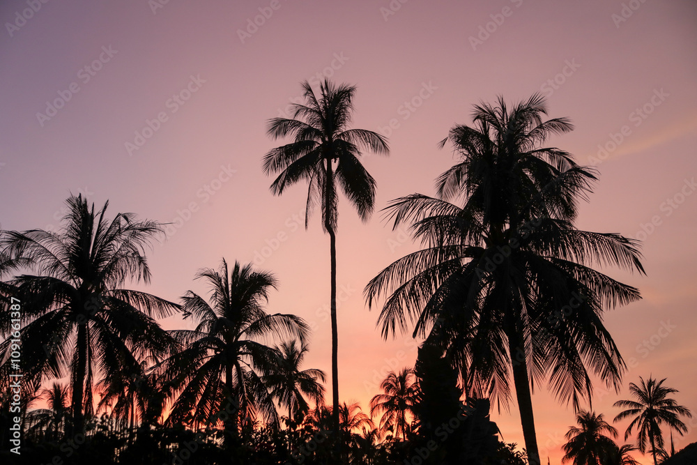 Fototapeta premium Beautiful sunset on Negros beach, Philippines