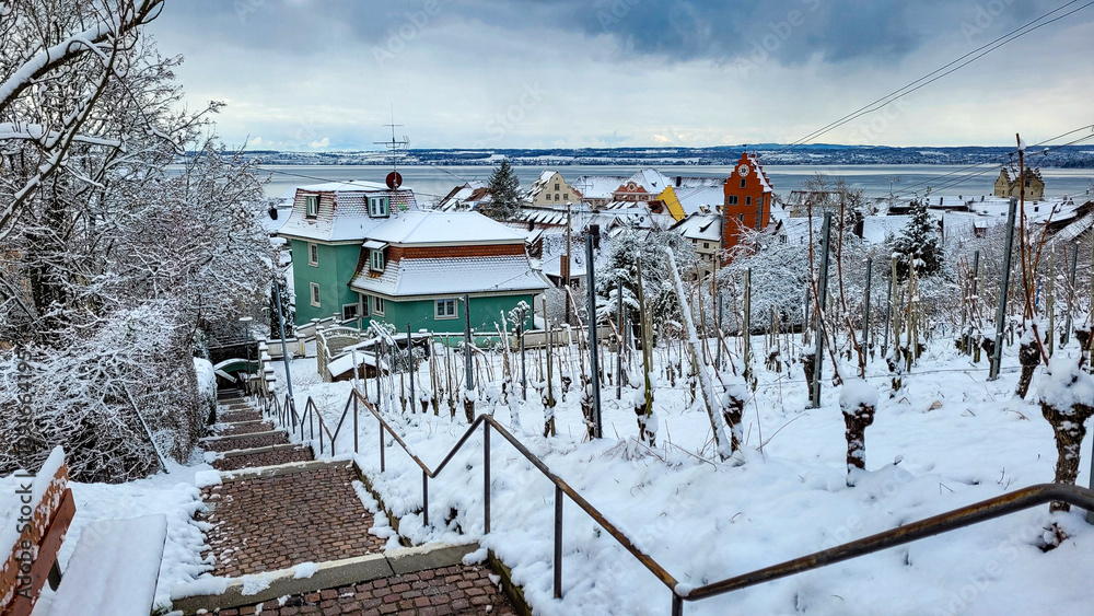 Naklejka premium View of winter morning Meersburg in Germany and Obertor. In the foreground - vineyards covered with white fluffy snow, green house and steps down. On the back - lake Constance and Switzerland.