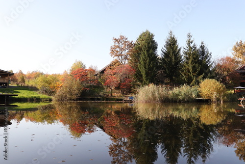autumn trees reflected in water