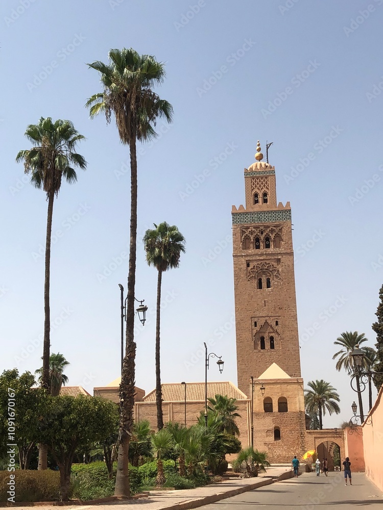 Fototapeta premium The city view of Marrakech, Morocco
