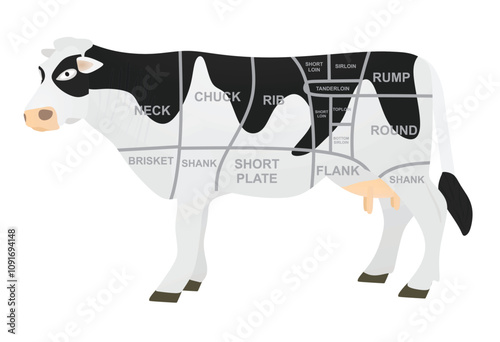 Beef meat diagram. vector illustration