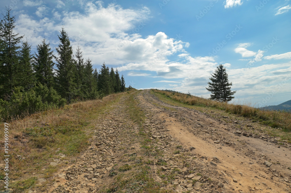 Road to sky. Dirt road to the top of the mountain in the Ukrainian Carpathians. Road to sky. Dirt road to the top of the mountain in the Ukrainian Carpathians.