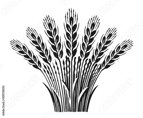 Sheaf of wheat ears. Harvest of grain crops. Barley or rye stalks vector illustration