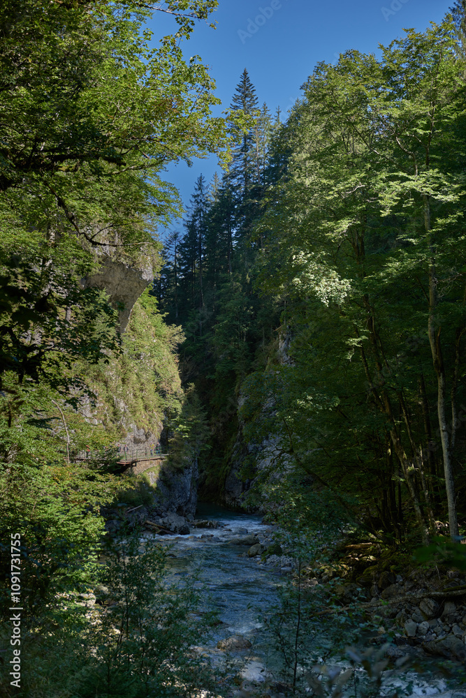 Pristine Alpine Stream Flows Through Lush Mountain Valley with Eco-Friendly Rural Landscape. Serene Wilderness Scene Captures Environmental Harmony in Picturesque Countryside Setting. Pristine Alpine Stream Flows Through Lush Mountain Valley with Eco-Friendly Rural Landscape. Serene Wilderness Scene Captures Environmental Harmony in Picturesque Countryside Setting.