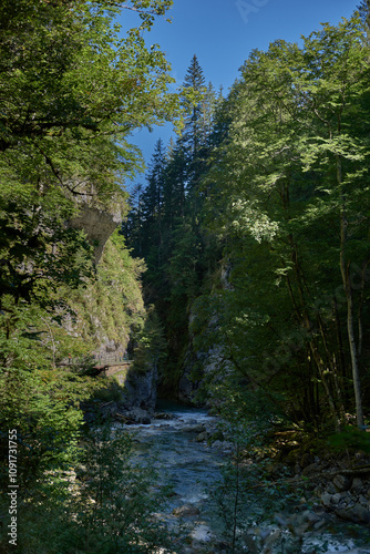 Pristine Alpine Stream Flows Through Lush Mountain Valley with Eco-Friendly Rural Landscape. Serene Wilderness Scene Captures Environmental Harmony in Picturesque Countryside Setting.