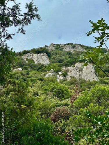 Verdant Mediterranean Forest with Limestone Peaks Rising Above Dense Greenery Under a Bright Cloudy Sky at Pic Saint-Loup, Southern France