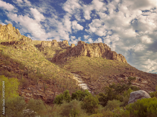 Scenic desert landscape featuring rugged mountain peaks surrounded by Saguaro cactus and vegetation under a bright blue sky with fluffy clouds.