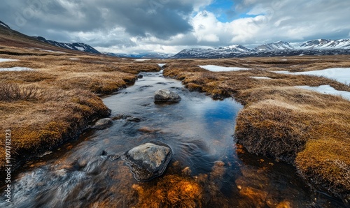 Permafrost thawing near a stream in a tundra landscape