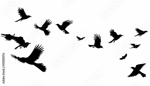 Silhouettes of numerous birds in flight against a stark white backdrop, creating a dynamic and artistic composition.  Ideal for design projects needing a touch of nature. photo