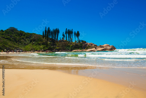 praia tropical de Florianopolis  e a praia da Joaquina Florianópolis Santa Catarina Brasil photo