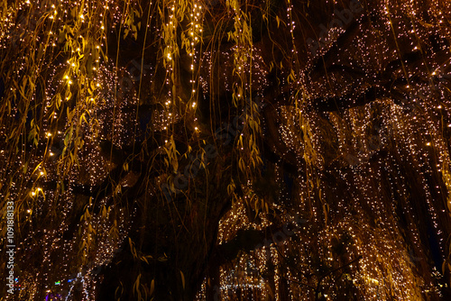 warm lights hanging from a tree