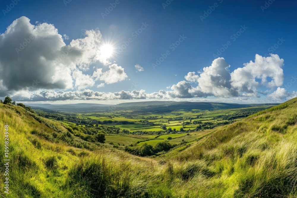 Obraz premium Scenic Green Valley Under Bright Blue Sky