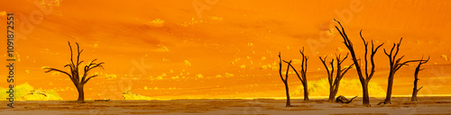 Dead trees at Deadvlei in Sossusvlei Namibia photo