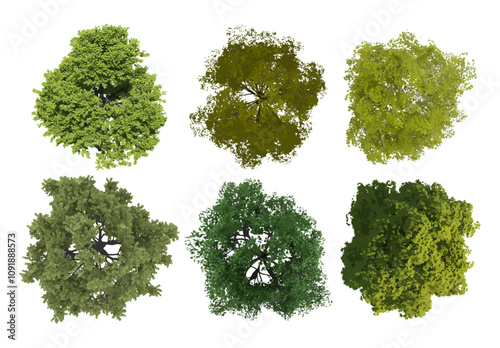 Top view realistic trees collection isolated on white background