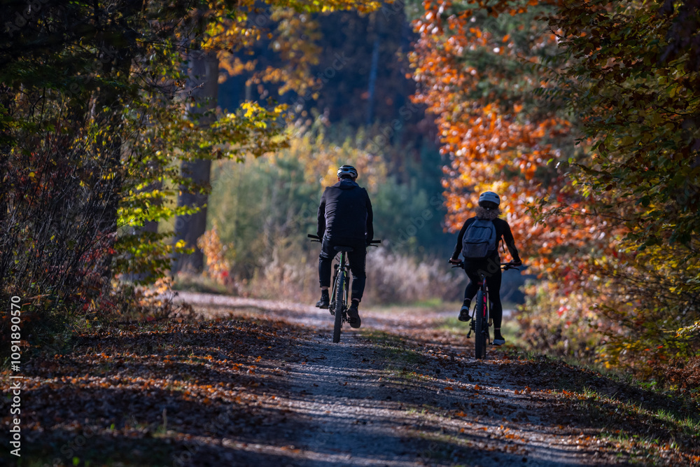 Fototapeta premium Mountain Biking on a Forest Trail