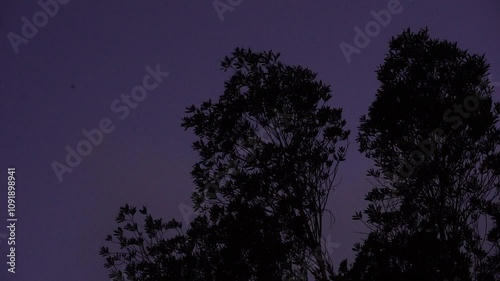 night sky 
