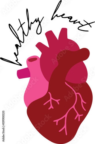 Heart vector art, Healthy heart phrase with a heart, simple heart organ