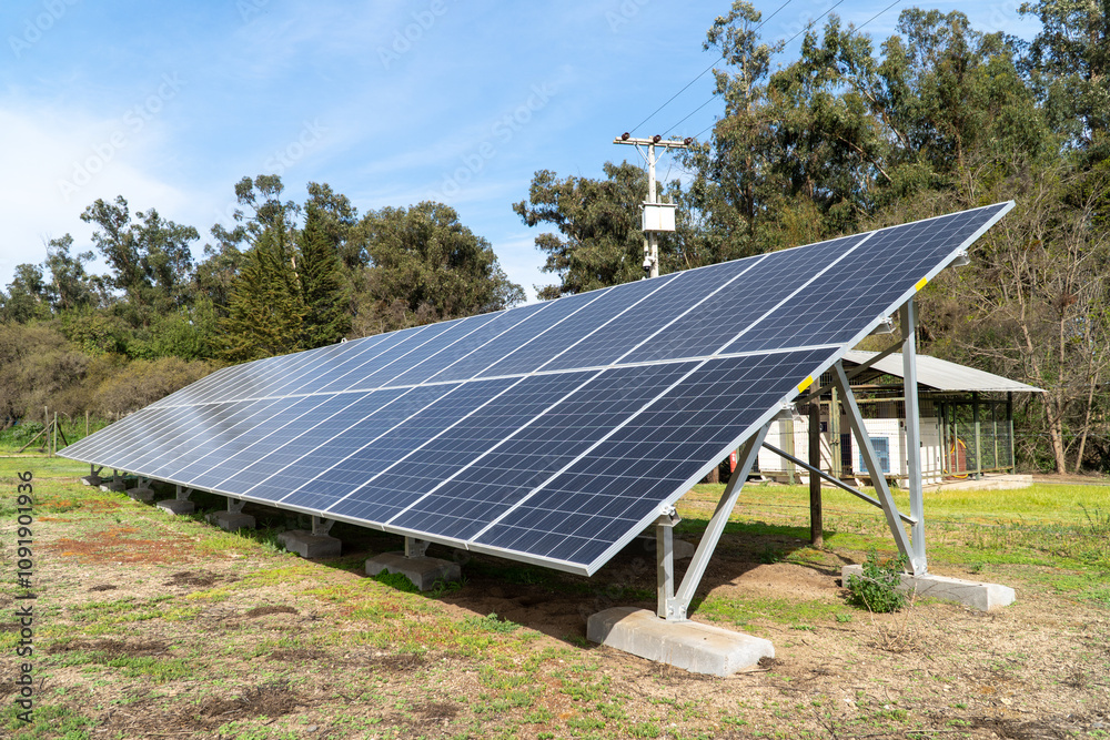 Solar Panels in a Backyard