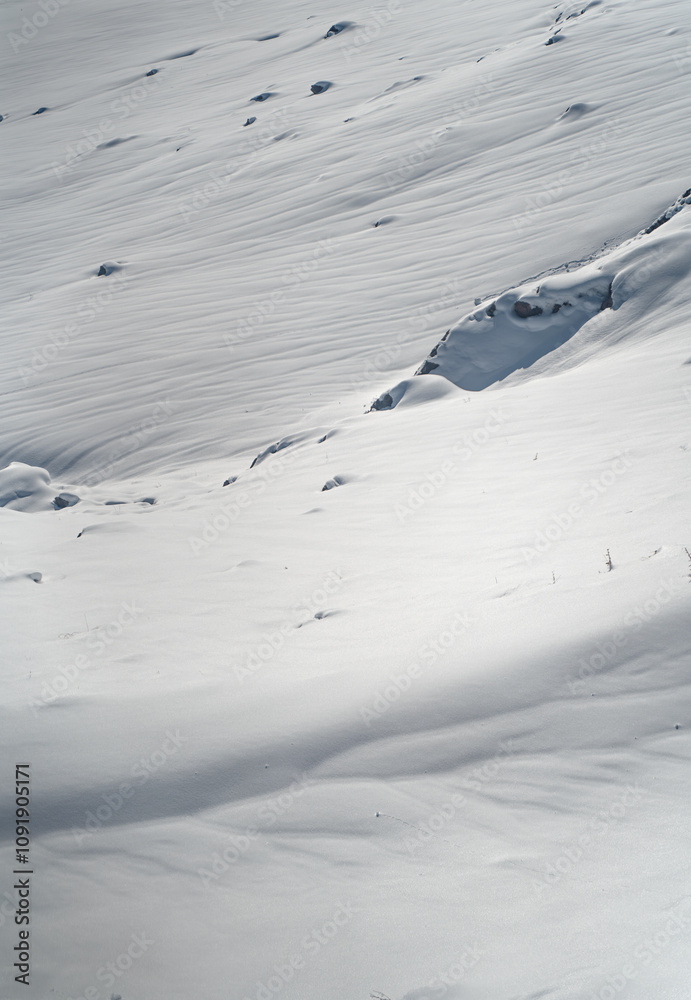 Obraz premium Pristine Snow Landscape with Subtle Shadows 