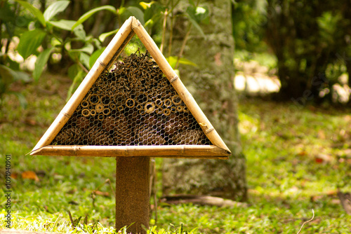 Estrutura construída com bambu para abelhas construírem sua coméia.  photo