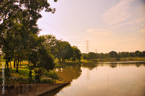 A tranquil lakeside park with lush greenery and calm water reflections with a serene environment highlights nature's beauty and is perfect for relaxing outdoors.
