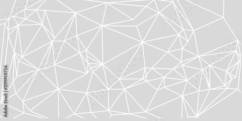 Gray and white combination line poly art background, line poly art texture background, crystal, minimalist mosaic