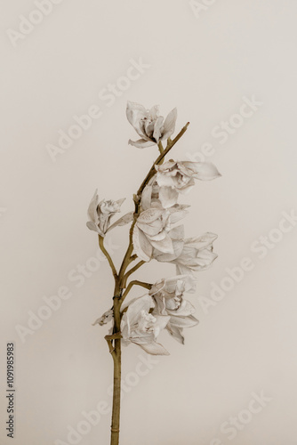 beautiful textured white flowers