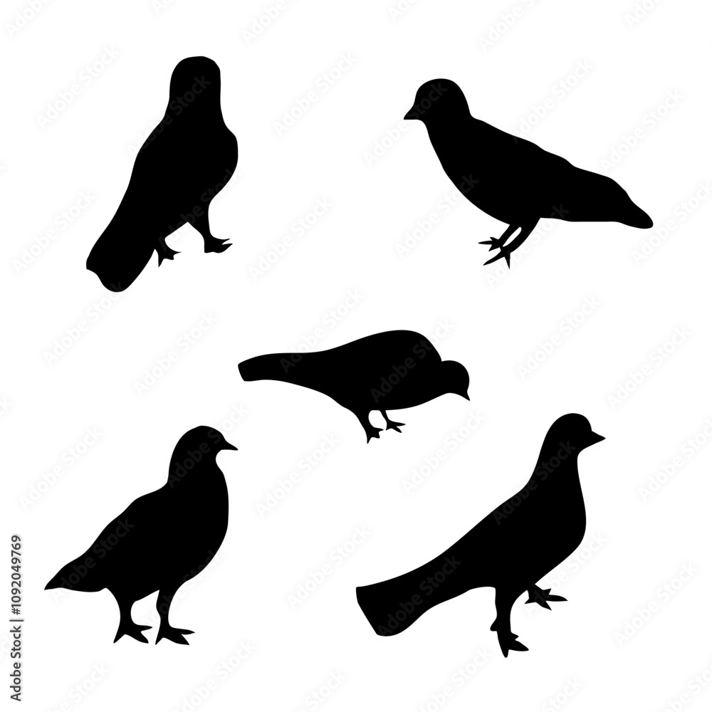 Fototapeta premium set of bird with different pose
