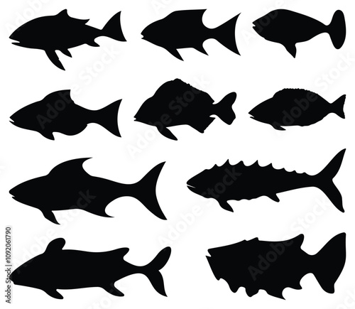 Set of fish silhouettes. isolated vector on white background. photo