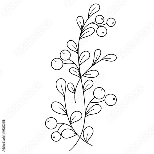 Christmas holly border outline illustration