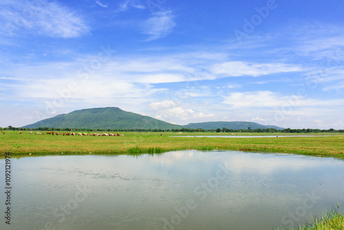 Green grassland and river landscape