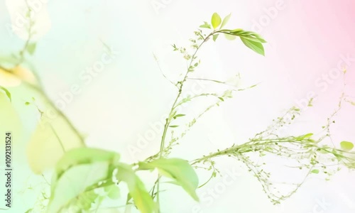 A soft, pastel floral design featuring delicate leaves and yellow flowers.