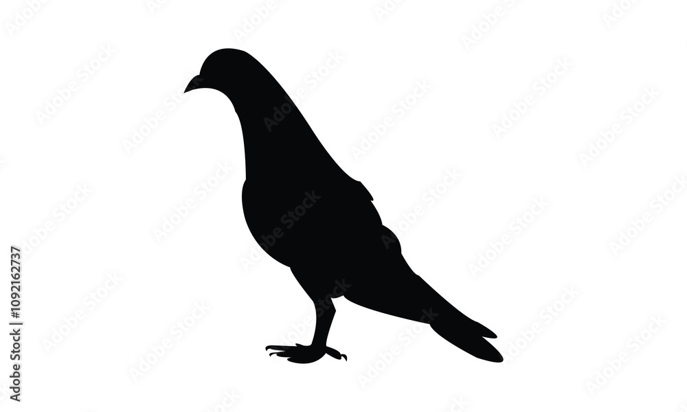 Fototapeta premium Pigeon Silhouette Design And Vector Illustration. 
