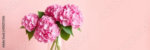 Pink hydrangeas in a large glass vase on a creamy pink background, pink blooms, elegant furniture