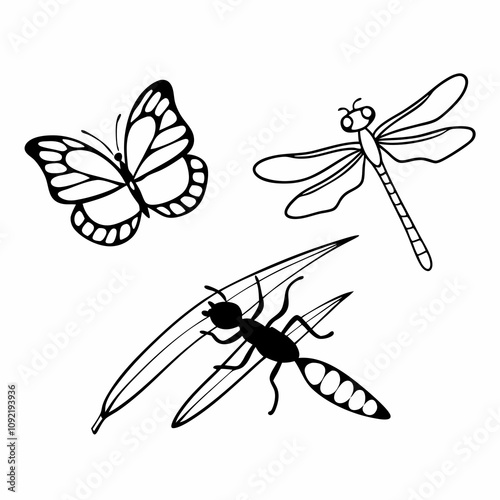 many kinds of insects illustrations vector art white background isolated art.