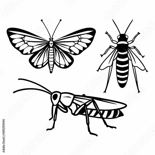 many kinds of insects illustrations vector art white background isolated art.