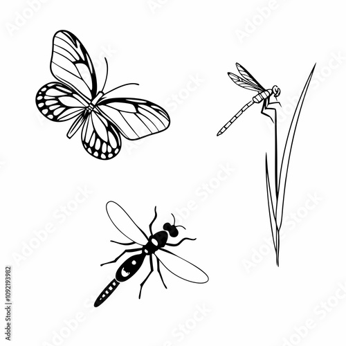 many kinds of insects illustrations vector art white background isolated art.