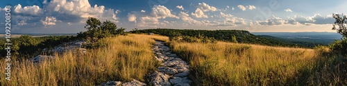 2410_103.meandering rocky footpath across grassy knoll, soft horizon line, fluffy cumulus clouds, sun-drenched vegetation, scattered flora, peaceful hilltop vista