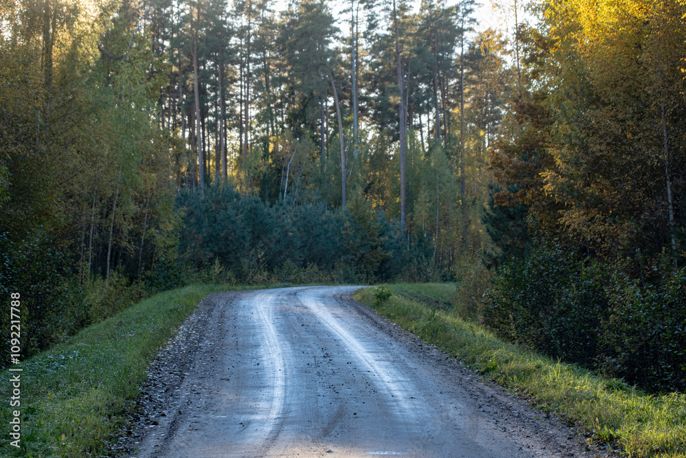 Fototapeta premium sand and gravel road through autumn forest in Latvia