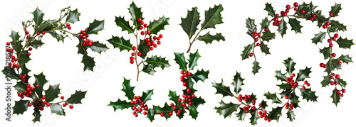 christmas tree branches with red berries isolated on white background