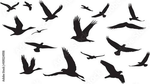 Wallpaper Mural Black A silhouette of birds flying Torontodigital.ca