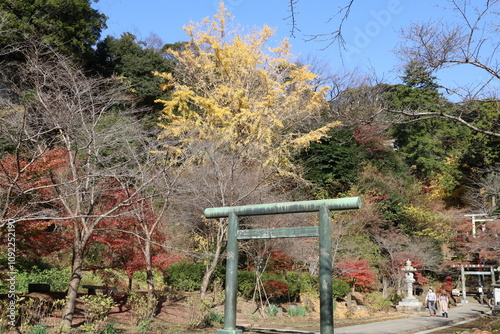 秋の鎌倉。建長寺。半増坊の鳥居。 photo