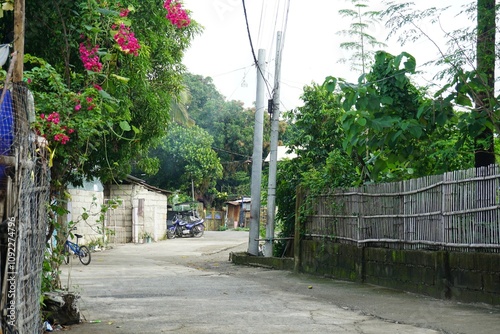 フィリピン　ヌエバエシハ州の田舎道