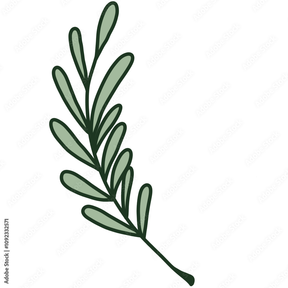 Fototapeta premium Minimalist leaves but still beautiful (PNG)