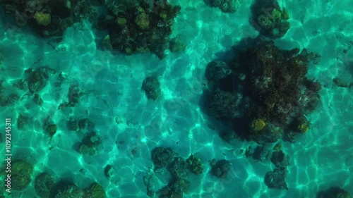 French Polynesia South Pacific Ocean barrier coral reef birdseye drone aerial view Tahiti Island Papara Papeete Moorea Bora Bora sealifte aqau torquise clear water channel passe waves reflection sun photo